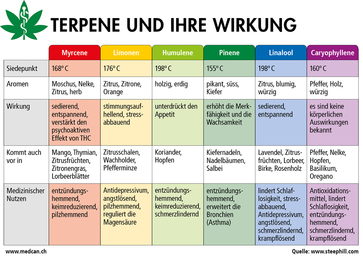 medcan_tabelle_terpene.jpg